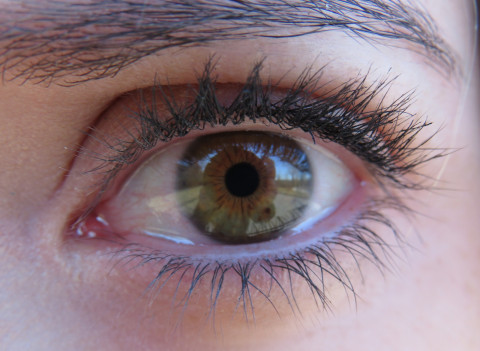 eye