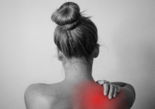 spine